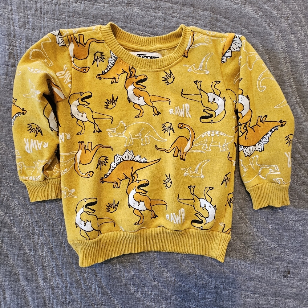 Dinosaur Toddler Sweatshirt 4t